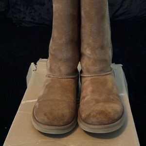 UGG Women's Brown Suede Winter Boots
